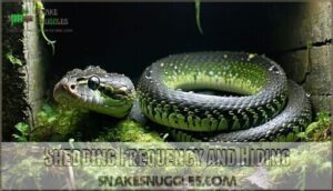 shedding frequency and hiding