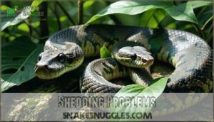 shedding problems