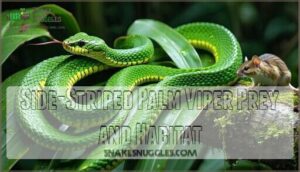 side-striped palm viper prey and habitat