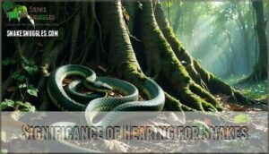 significance of hearing for snakes