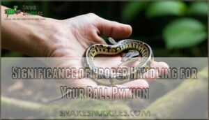 significance of proper handling for your ball python