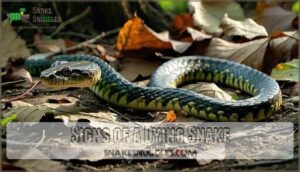 signs of a dying snake