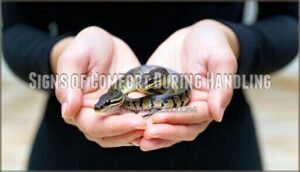 signs of comfort during handling