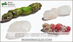 signs of digestive issues