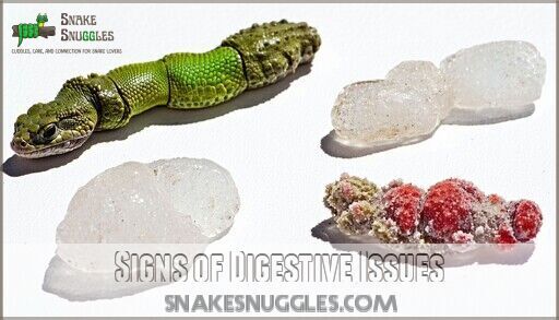 Ball Python Poop: Complete Guide to Colors, Frequency & Health Signs