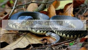 signs of shedding