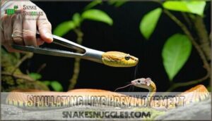 simulating live prey movement