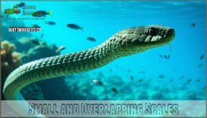 small and overlapping scales