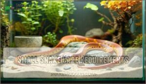 small snake care requirements