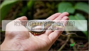 snake behavior and welfare
