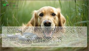 snake bite symptoms based on snake species