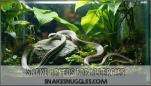 snake breeds for allergies