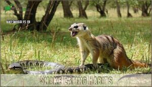 snake eating habits