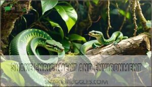 snake enrichment and environment