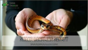 snake handling safety