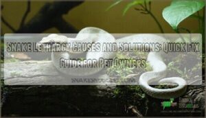 snake lethargy causes and solutions