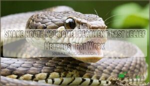 snake mouth rot home treatment