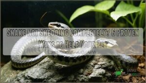 snake not shedding completely help