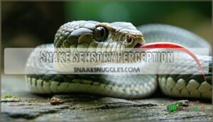 snake sensory perception