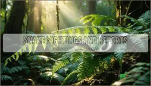 snake sightings and reports