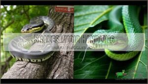 snakes avoid handling