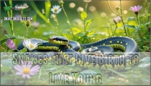 snakes that give birth to live young