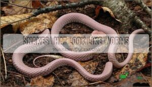 snakes that look like worms