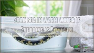 soak boa in warm water if shedding is difficult