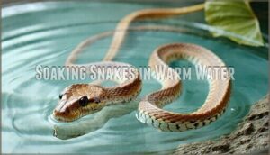 soaking snakes in warm water