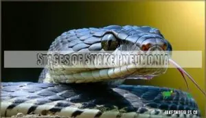 stages of snake pneumonia stages of snake pneumonia
