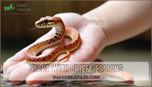 Corn Snake Body Language: 7 Critical Signs Every Owner Must Know