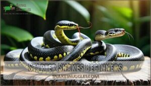 starter snakes beginners