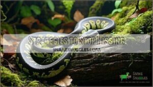 strategies to stop hissing