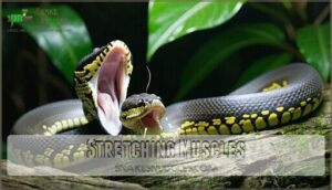 stretching muscles