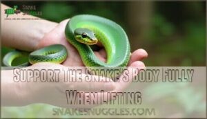 support the snake's body fully when lifting