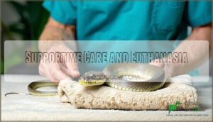supportive care and euthanasia