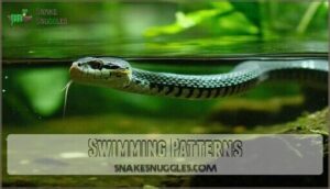 swimming patterns