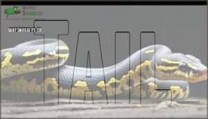 tail
