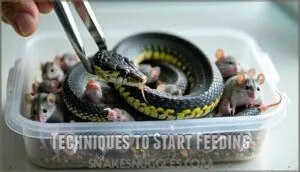 techniques to start feeding techniques to start feeding