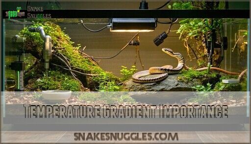 Corn Snake Natural Habitat Temperature: Complete Care Guide 2025