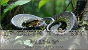 they give birth to live young through ovoviviparity