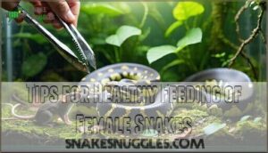 tips for healthy feeding of female snakes