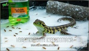 treating mite infestations