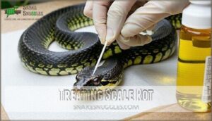 treating scale rot