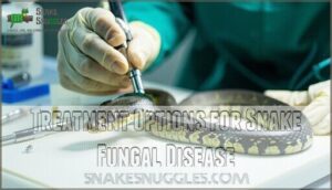 treatment options for snake fungal disease