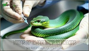 types of injections in snakes