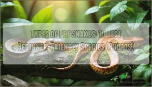 types of pet snakes