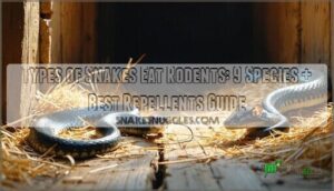 types of snakes eat rodents