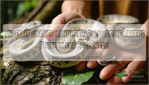 types of snakes handleable