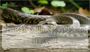 types of sounds snakes can perceive